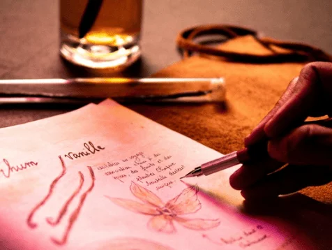 Aperçu du portfolio d’Anne Guillard, photographe branding : portraits et images de marque pour entrepreneurs